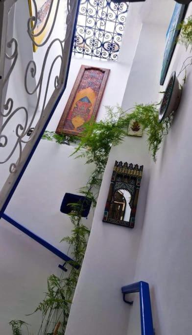 Villa Coco Chawen à Chefchaouen Extérieur photo