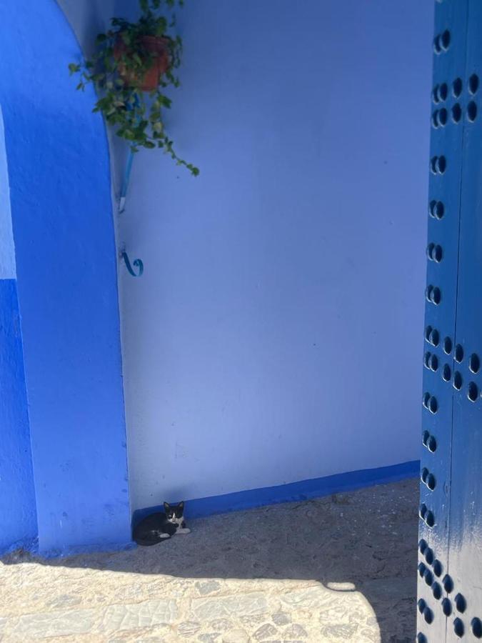 Villa Coco Chawen à Chefchaouen Extérieur photo